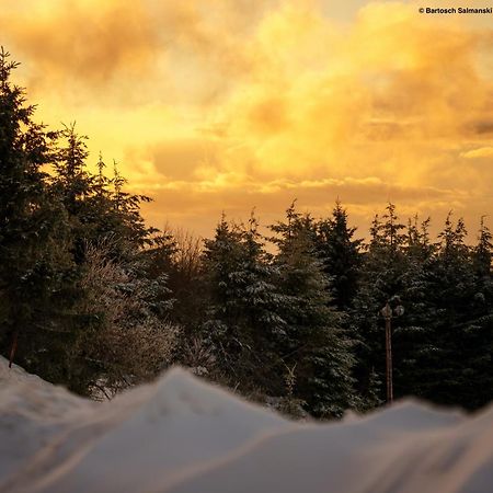 Le Grand Petit Prince - Domaine De Charme - Jacuzzis Privatifs Guebwiller Buitenkant foto