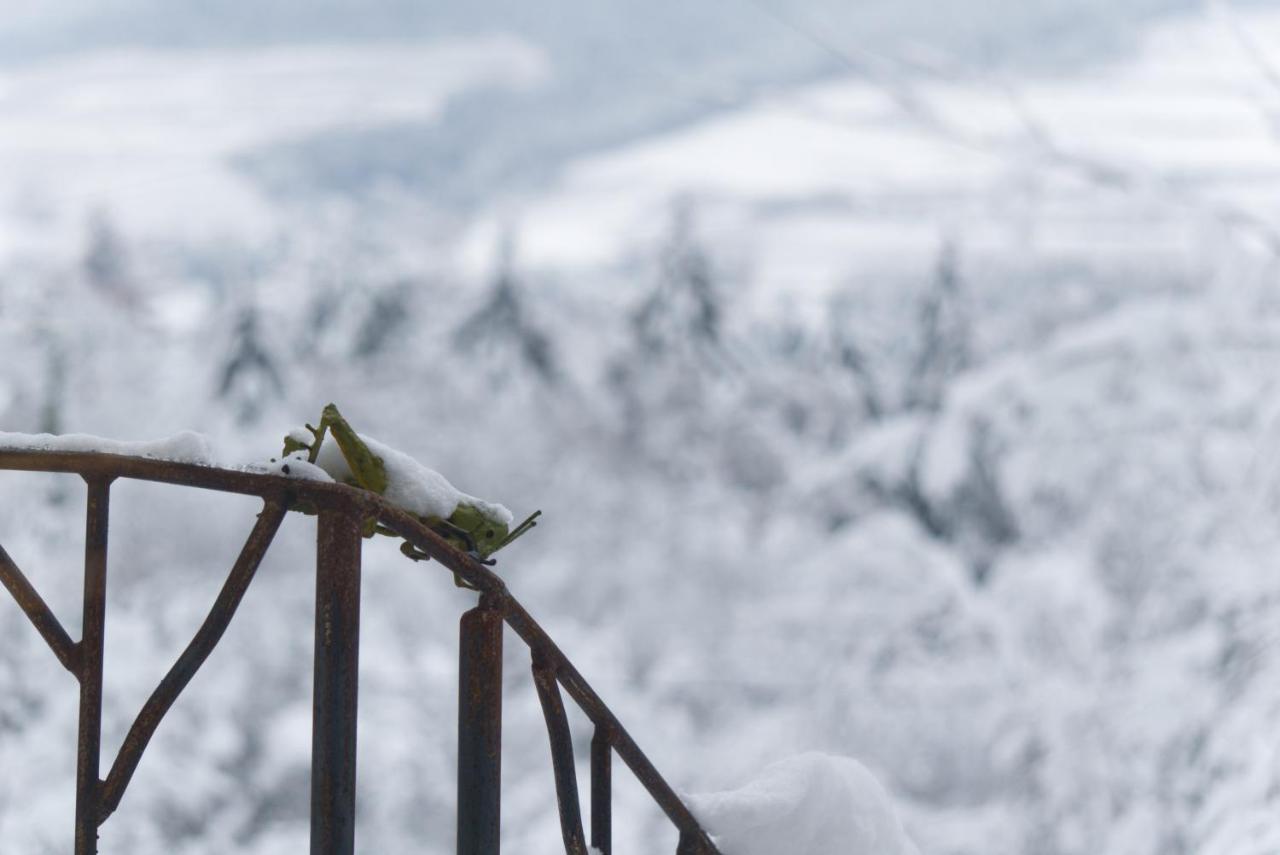 Le Grand Petit Prince - Domaine De Charme - Jacuzzis Privatifs Guebwiller Buitenkant foto