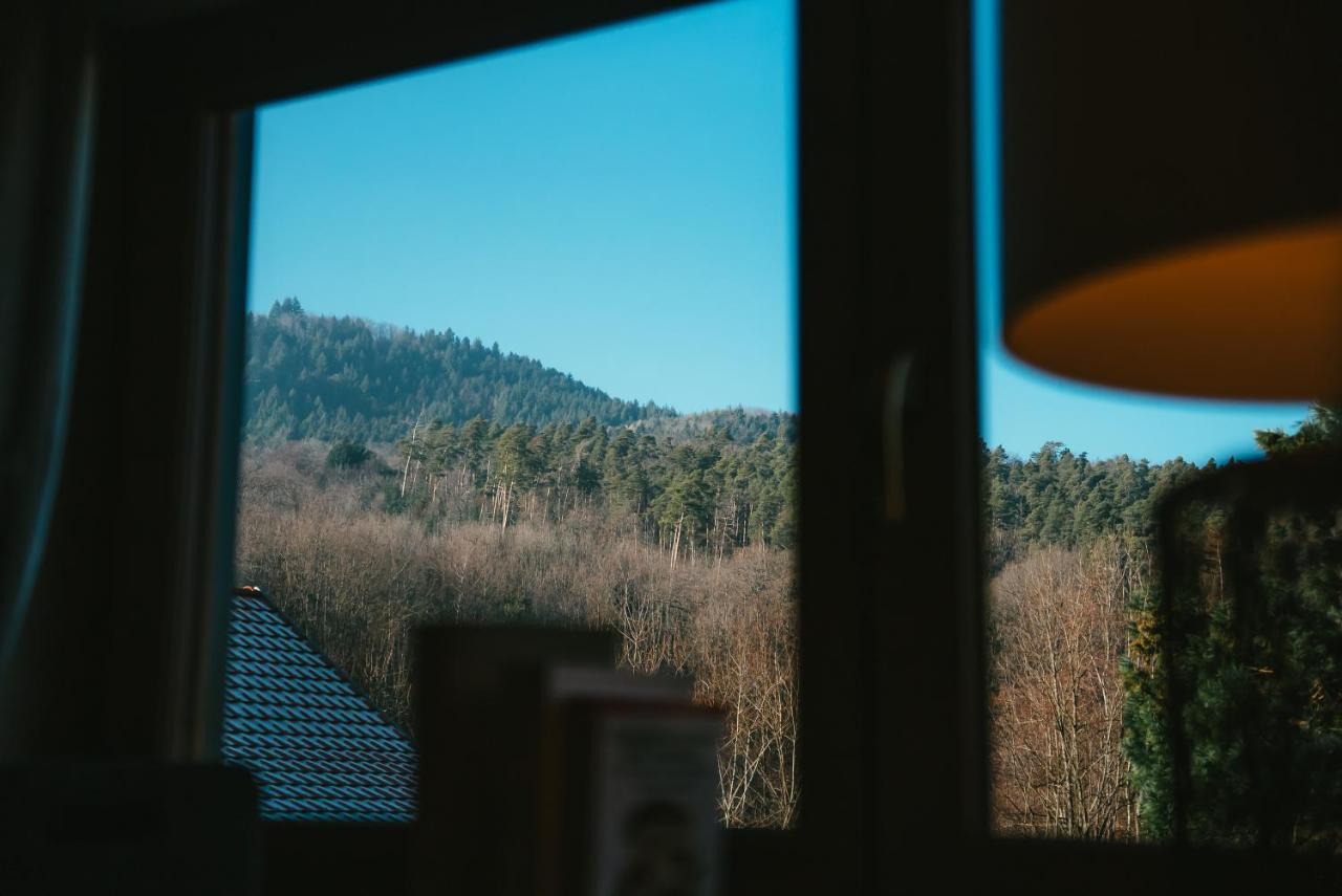 Le Grand Petit Prince - Domaine De Charme - Jacuzzis Privatifs Guebwiller Buitenkant foto